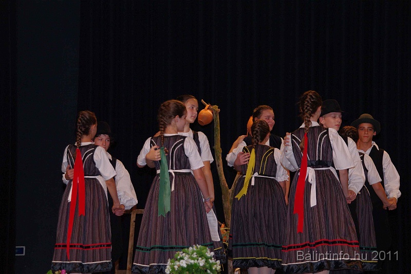 szureti_felvonulas_2011_138.jpg