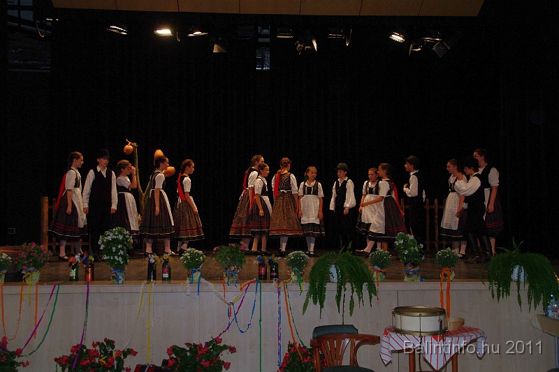 szureti_felvonulas_2011_145.jpg