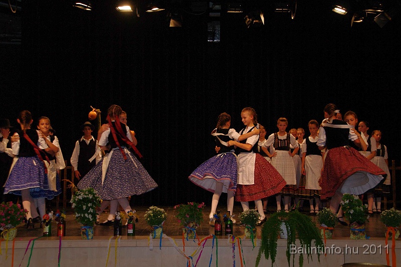 szureti_felvonulas_2011_147.jpg