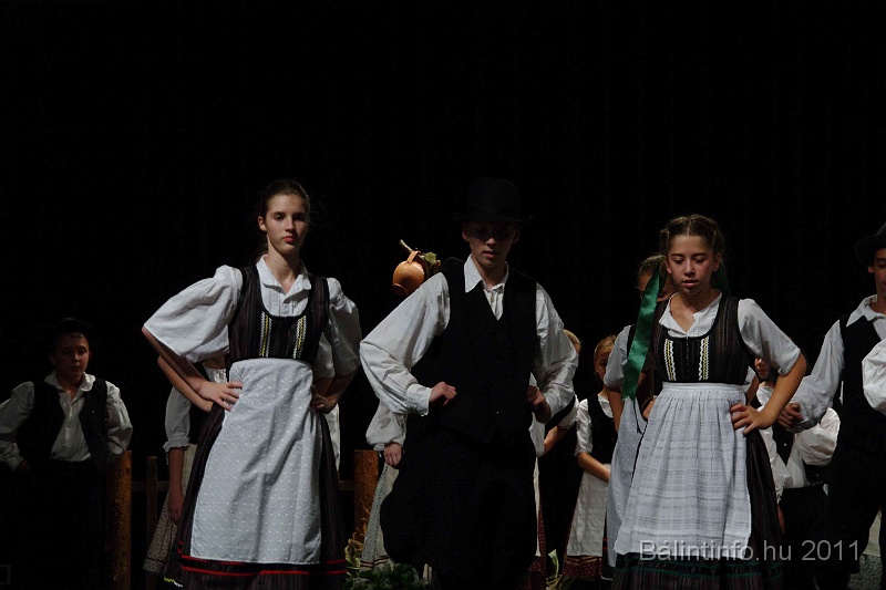 szureti_felvonulas_2011_156.jpg