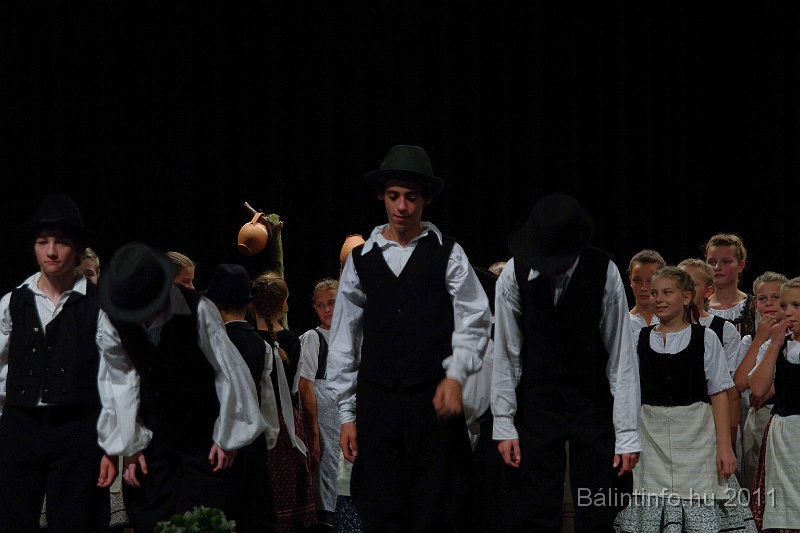 szureti_felvonulas_2011_164.jpg