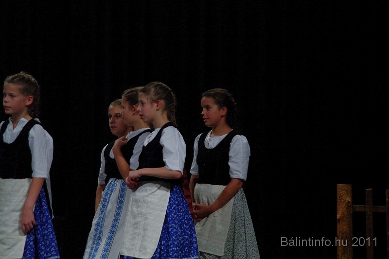 szureti_felvonulas_2011_169.jpg
