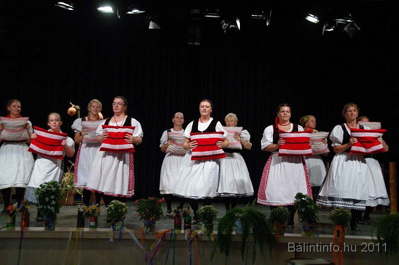 szureti_felvonulas_2011_178.jpg