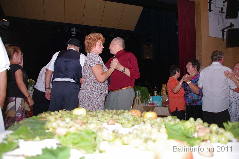 szureti_felvonulas_2011_200.jpg