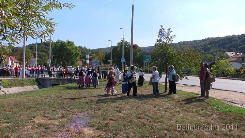 szureti_felvonulas_2011_231.jpg