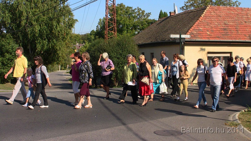 szureti_felvonulas_2011_242.jpg