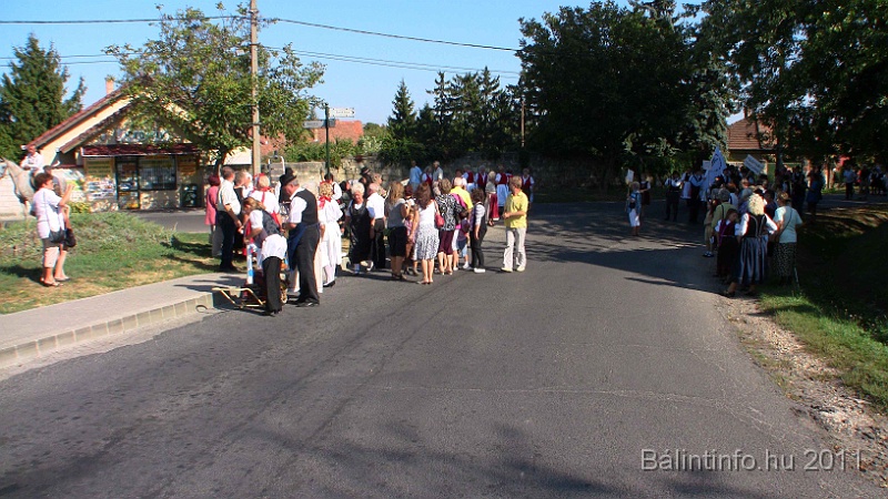 szureti_felvonulas_2011_246.jpg