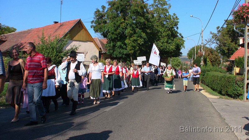 szureti_felvonulas_2011_252.jpg