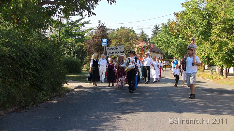 szureti_felvonulas_2011_262.jpg