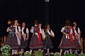 szureti_felvonulas_2011_137