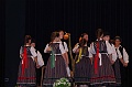 szureti_felvonulas_2011_138
