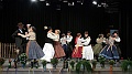 szureti_felvonulas_2011_295