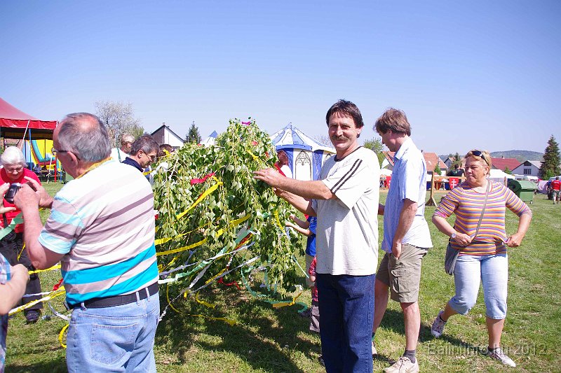 torokbalinti_varosi_majalis_2012_032.jpg
