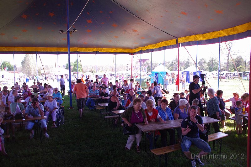 torokbalinti_varosi_majalis_2012_067.jpg