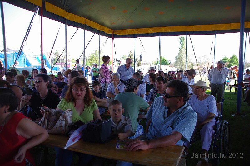 torokbalinti_varosi_majalis_2012_072.jpg