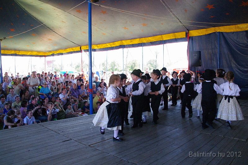 torokbalinti_varosi_majalis_2012_123.jpg