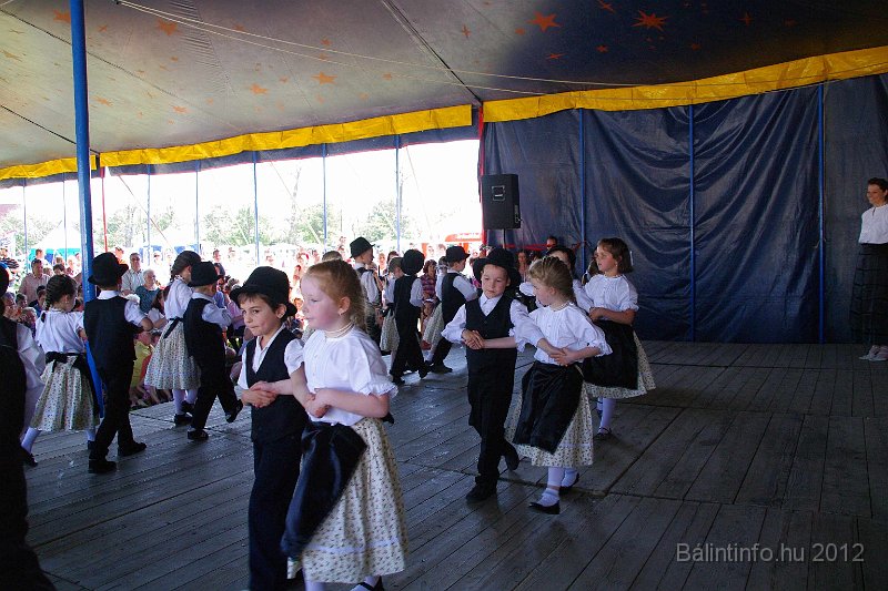 torokbalinti_varosi_majalis_2012_136.jpg