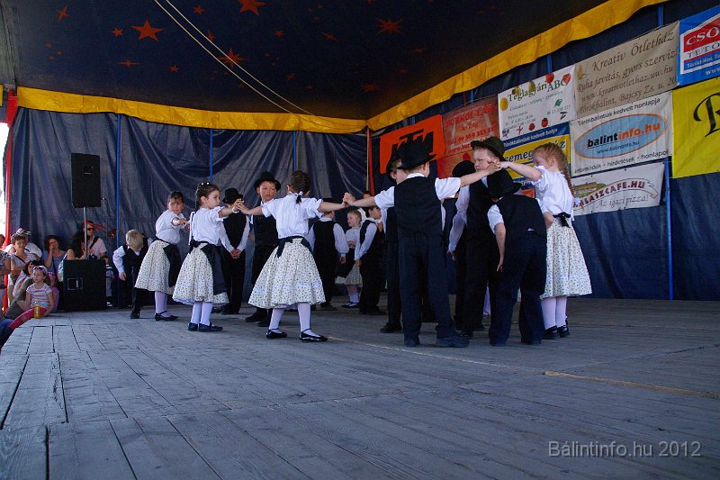 torokbalinti_varosi_majalis_2012_143.jpg