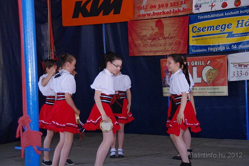 torokbalinti_varosi_majalis_2012_161.jpg