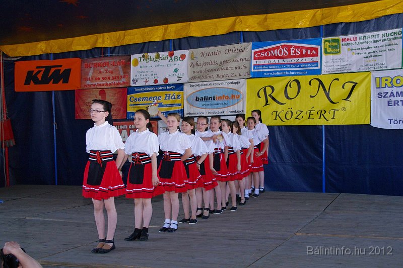torokbalinti_varosi_majalis_2012_162.jpg