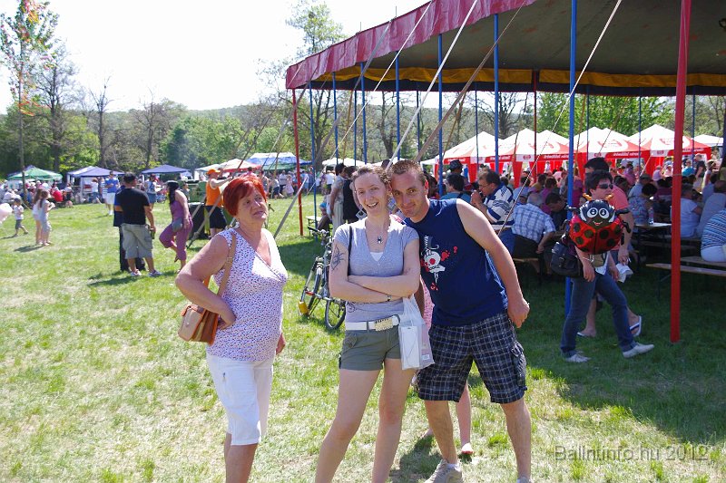 torokbalinti_varosi_majalis_2012_202.jpg