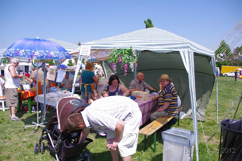 torokbalinti_varosi_majalis_2012_213.jpg