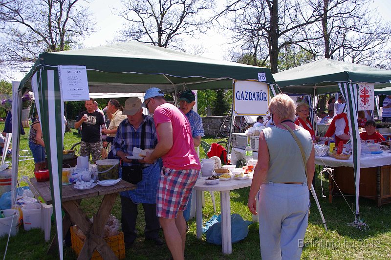 torokbalinti_varosi_majalis_2012_246.jpg