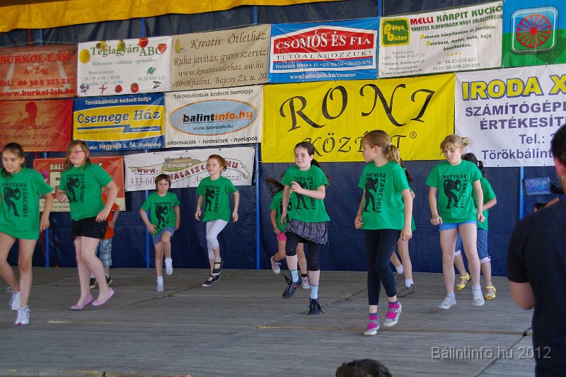 torokbalinti_varosi_majalis_2012_282.jpg