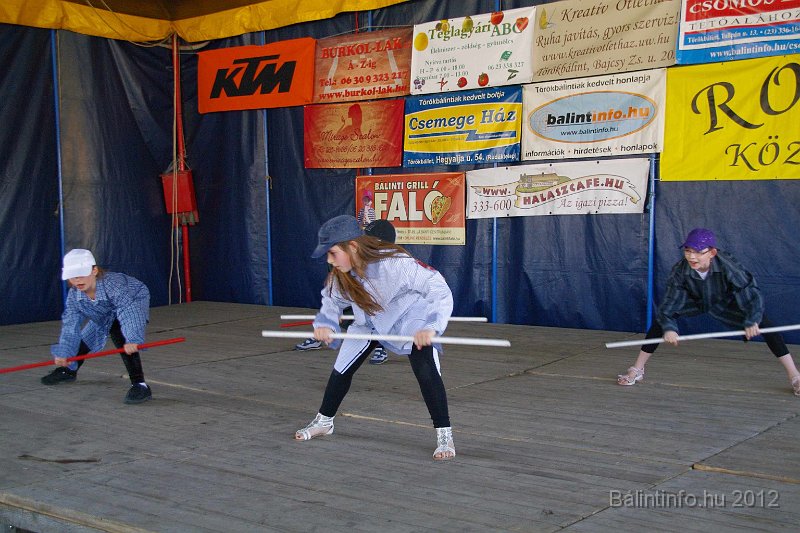 torokbalinti_varosi_majalis_2012_284.jpg
