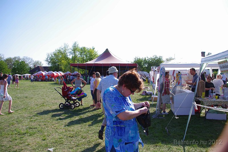 torokbalinti_varosi_majalis_2012_317.jpg