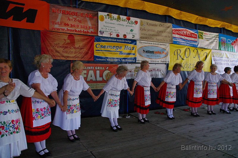 torokbalinti_varosi_majalis_2012_331.jpg