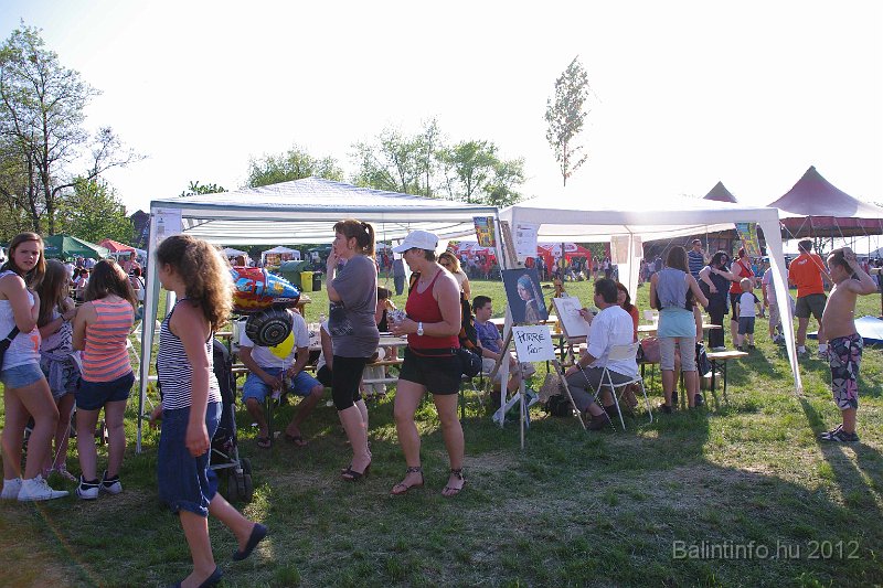 torokbalinti_varosi_majalis_2012_337.jpg