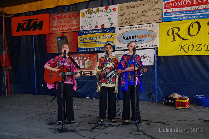 torokbalinti_varosi_majalis_2012_342.jpg