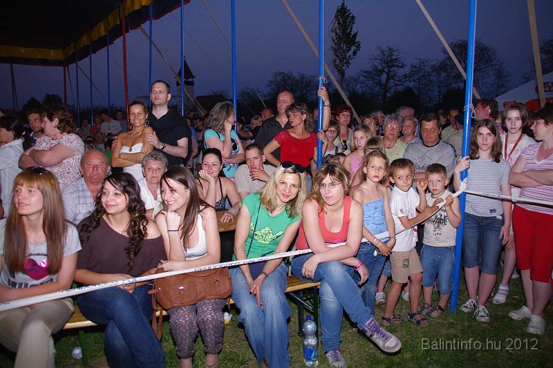 torokbalinti_varosi_majalis_2012_406.jpg