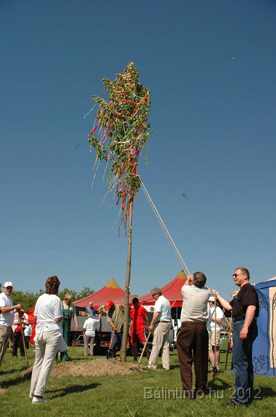 torokbalinti_varosi_majalis_2012_548.jpg