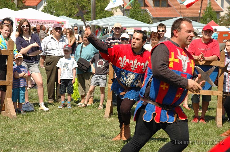 torokbalinti_varosi_majalis_2012_628.jpg
