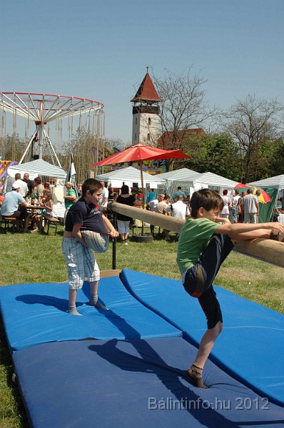 torokbalinti_varosi_majalis_2012_632.jpg
