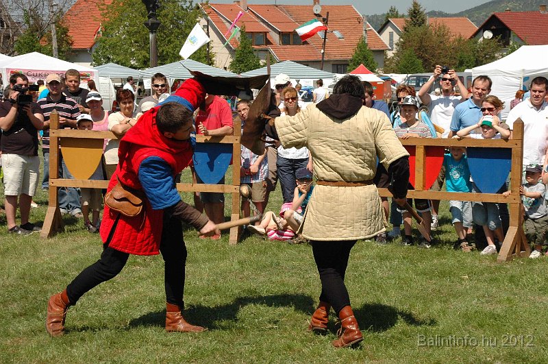 torokbalinti_varosi_majalis_2012_643.jpg