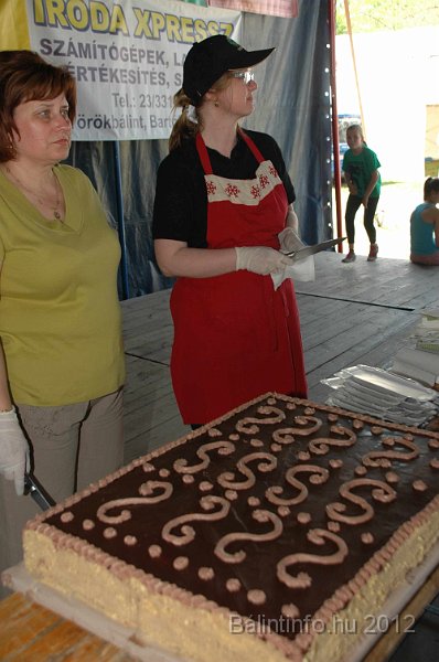 torokbalinti_varosi_majalis_2012_667.jpg