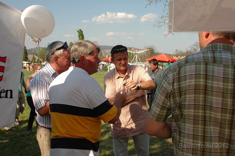 torokbalinti_varosi_majalis_2012_736.jpg