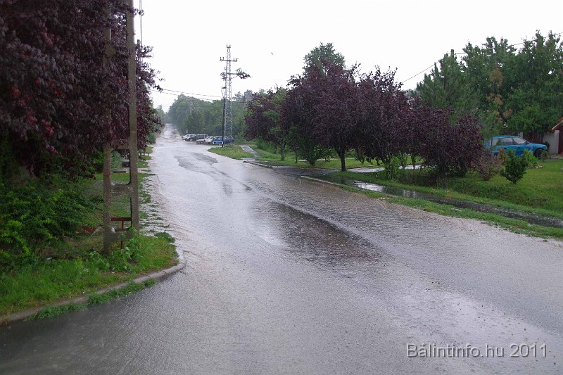 vihar_2011_julius_001.jpg