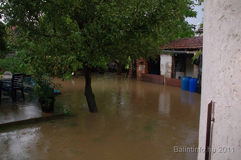 vihar_2011_julius_021.jpg