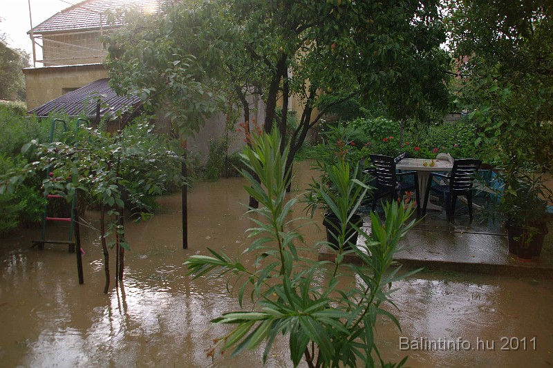 vihar_2011_julius_022.jpg