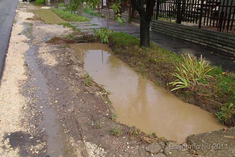 vihar_2011_julius_034.jpg
