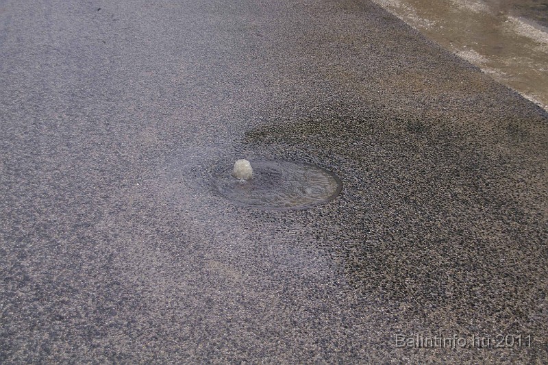 vihar_2011_julius_043.jpg