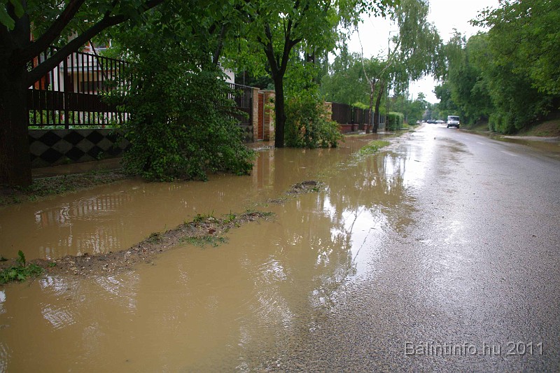 vihar_2011_julius_047.jpg
