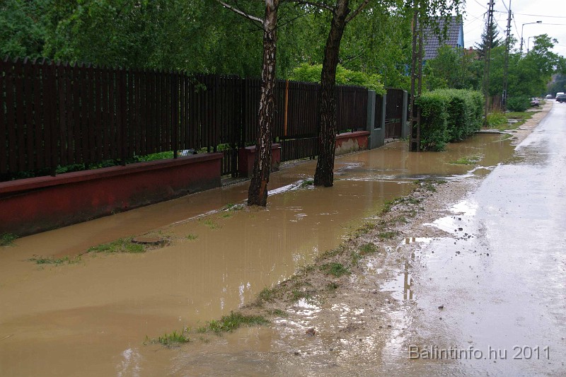 vihar_2011_julius_050.jpg