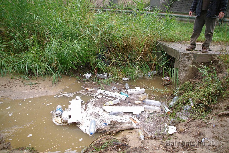 vihar_2011_julius_064.jpg