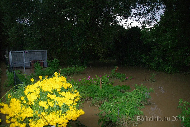 vihar_2011_julius_078.jpg