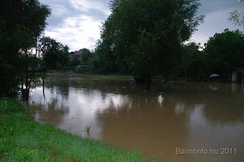 vihar_2011_julius_084.jpg